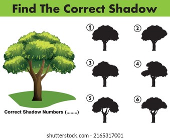 Correct Shadow Educational Matching Game With Fun Character. Logic Games For Kids. Learnig Card For Child Kindergarten Or School.