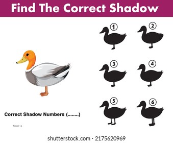 Correct Shadow Educational Matching Game With Fun Character. Logic Games For Kids. Learnig Card For Child Kindergarten Or School.