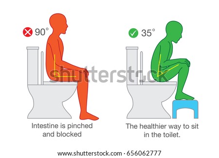 Correct sitting get the proper degree angle of body on toilet seat for help with excretion.