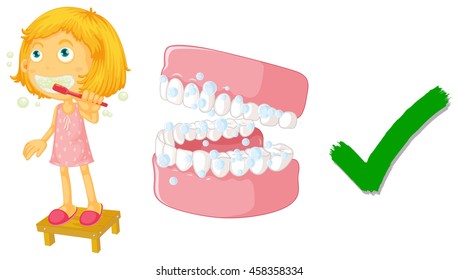 The correct way of brushing teeth illustration
