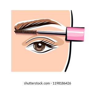 Correction of the form and coloring of eyebrows in beauty salon