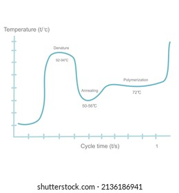 Die Korrelation zwischen der Temperatur (C) und der Zykluszeit (en) der Polymerase-Kettenreaktion (PCR) Stufe, die die blaue Linie darstellt.