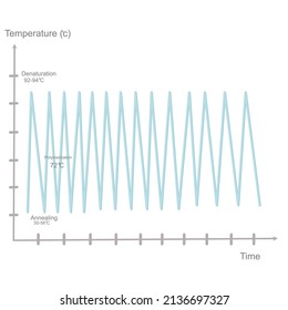 Die Korrelation zwischen Temperatur und Zeit der PCR in Echtzeit oder quantitativer PCR-Schritte: Denaturierung, Glühen und Polymerisierung