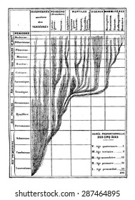 Correspondence between the development of the animal and the succession of geological epochs, vintage engraved illustration. Earth before man - 1886.