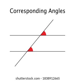 Corresponding Angles Angles Parallel Lines Geometry Stock Vector ...