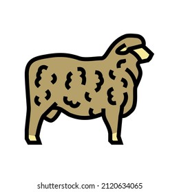 corriedale sheep color icon vector. corriedale sheep sign. isolated symbol illustration