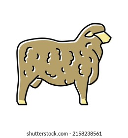 corriedale sheep color icon vector. corriedale sheep sign. isolated symbol illustration