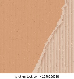 Corrugated brown cardboard background with torn peace
