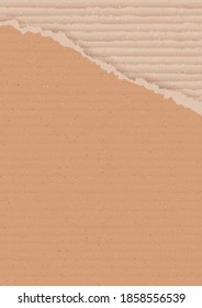 Corrugated brown cardboard background with torn peace