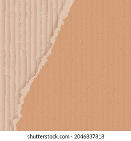 Corrugated cardboard background with torn peace, realistic vector illustration