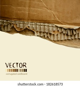 corrugated cardboard. Vector