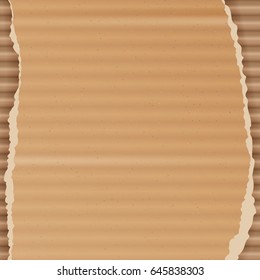 Corrugated Cardboard Vector Background. Realistic Ripped Carton Wallpaper With Torn Edges. Graphic Design Element For Poster, Flyer, Advertisement, Web Site. Vector illustration