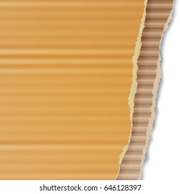 Corrugated Cardboard Vector Background. Realistic Texture Ripped Cardboard Wallpaper With Torn Edges. Logistics Service, Warehouse, Transportation Concept. Vector illustration