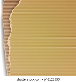 Corrugated Cardboard Vector Background. Realistic Ripped Carton Wallpaper With Torn Edges. Graphic Design Element For Poster, Flyer, Advertisement, Web Site. Vector illustration