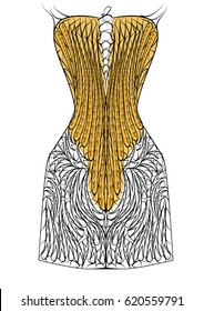 corset isolated on white