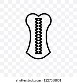 Corset vector linear icon isolated on transparent background, Corset transparency concept can be used for web and mobile