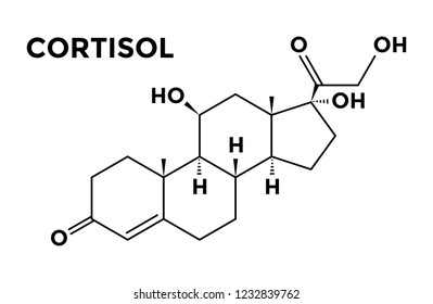 Cortisol Adrenal Hormone Structural Chemical Formula Stock Vector ...