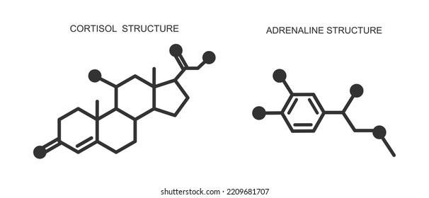 Cortisol and adrenaline icons. Hydrocortisone and epinephrine chemical molecular structure. Stress related hormones produced by adrenal glands. Vector outline illustration