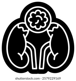 Cortisol Hormone Symbol, Measure Cortisol