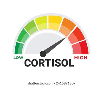 Cortisol Level Indicator Vector Illustration with Visual Spectrum from Low to High for Stress and Health Monitoring