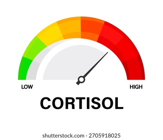 Cortisol level scale with arrow. Vector isolated on white.