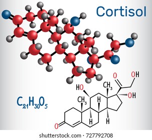 Cortisol (stress Hormone) - Structural Chemical Formula And Molecule Model. Vector Illustration