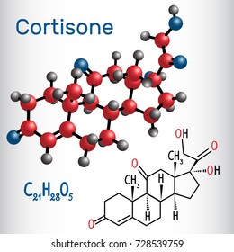 Cortisone, Steroid Hormone,  - Structural Chemical Formula And Molecule Model. Vector Illustration