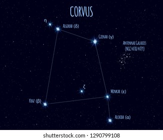 Corvus (The Raven) constellation, vector illustration with the names of basic stars against the starry sky