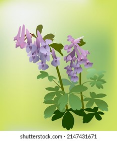 Crecimiento de flores en primavera en abril, estaciones, flora, ecología, aire fresco