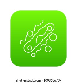 Corynebacterium icon green vector isolated on white background