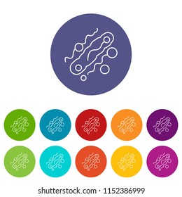 Corynebacterium icons color set vector for any web design on white background
