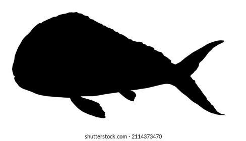 Coryphaena sea fish. Hand-drawn ocean fish Coryphaena in sketch style, black silhouette for menu design template, signage, logos, labels hand-painted on white tropical fish side view