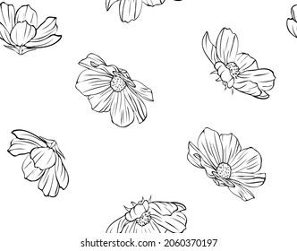 Cosmea flower simple seamless pattern hand-drawn ink style vector eps10. Isolated illustration