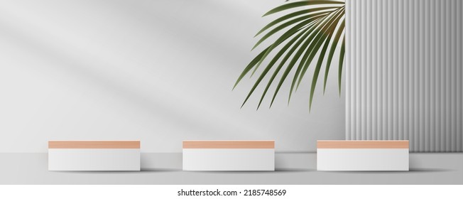 Cosmetic gray background and premium podium display for product presentation branding and packaging presentation. studio stage with shadow of leaf background. vector design.