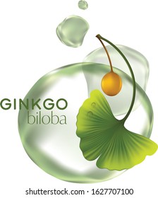 cosmetic illustration with ginkgo biloba, green leaves. Skincare, moisturizing cream in tube, natural cosmetics. 