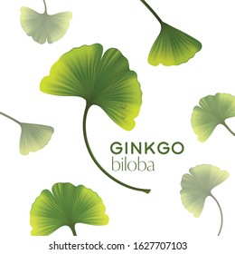 cosmetic illustration with ginkgo biloba, green leaves. Skincare, moisturizing cream in tube, natural cosmetics. 