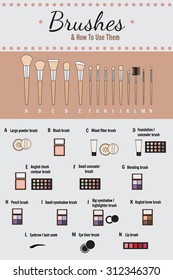 Cosmetic infographics - vector. How to use brushes for makeup.