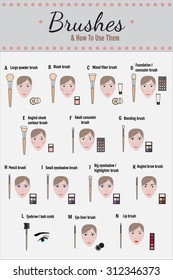 Cosmetic infographics - vector. How to use brushes for makeup.