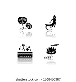 Cosmetic ingredient drop shadow black glyph icons set. Centella plant. Ginseng root. Collagen formula. Lotus flower. Nourishing and healing effect. Isolated vector illustrations on white space