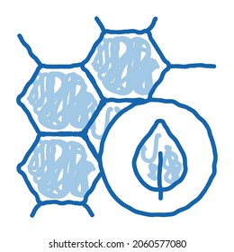 Cosmetic Ingredient Honey sketch icon vector. Hand drawn blue doodle line art isolated symbol illustration