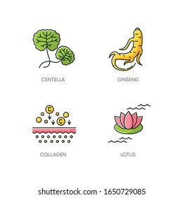Cosmetic ingredient RGB color icons set. Centella plant. Ginseng root. Collagen formula. Lotus flower. Skincare treatment. Nourishing and healing effect. Korean beauty. Isolated vector illustrations