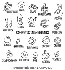 Cosmetic ingredients. Hand-drawn icons of herbs, fruits, vegetables, flowers, oils. Collection of vector icons.
