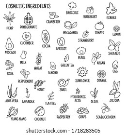 Cosmetic ingredients. Hand-drawn icons of herbs, fruits, vegetables, flowers, oils. Collection of vector icons.