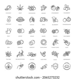 Cosmetic ingredients. Vector icons of herbs, fruits, vegetables, flowers, oils. Thin signs for packaging