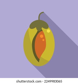 Cosmetic jojoba icon flat vector. Plant seed. Aroma herb