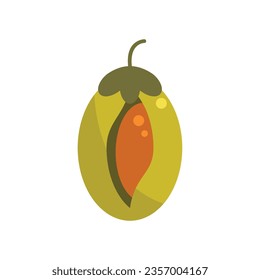 Cosmetic jojoba icon flat vector. Plant seed. Aroma herb isolated