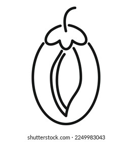 Cosmetic jojoba icon outline vector. Plant seed. Aroma herb