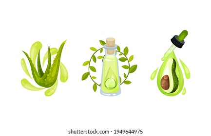 Cosmetic Oil with Aloe Vera and Avocado in Jar with Drops on Pipette Vector Set