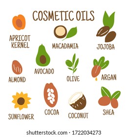 Cosmetic oils. Nuts from which squeeze oils. Nourishing oils for skin beauty. Vector icons