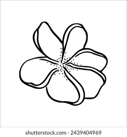 Cosmetic plumeria oil, frangipani massage oil, serum drops, tonic. Frangipani plant. Flower extract. Vector graphics. Natural cosmetics, plant extracts, gouache massage, facial rejuvenation.